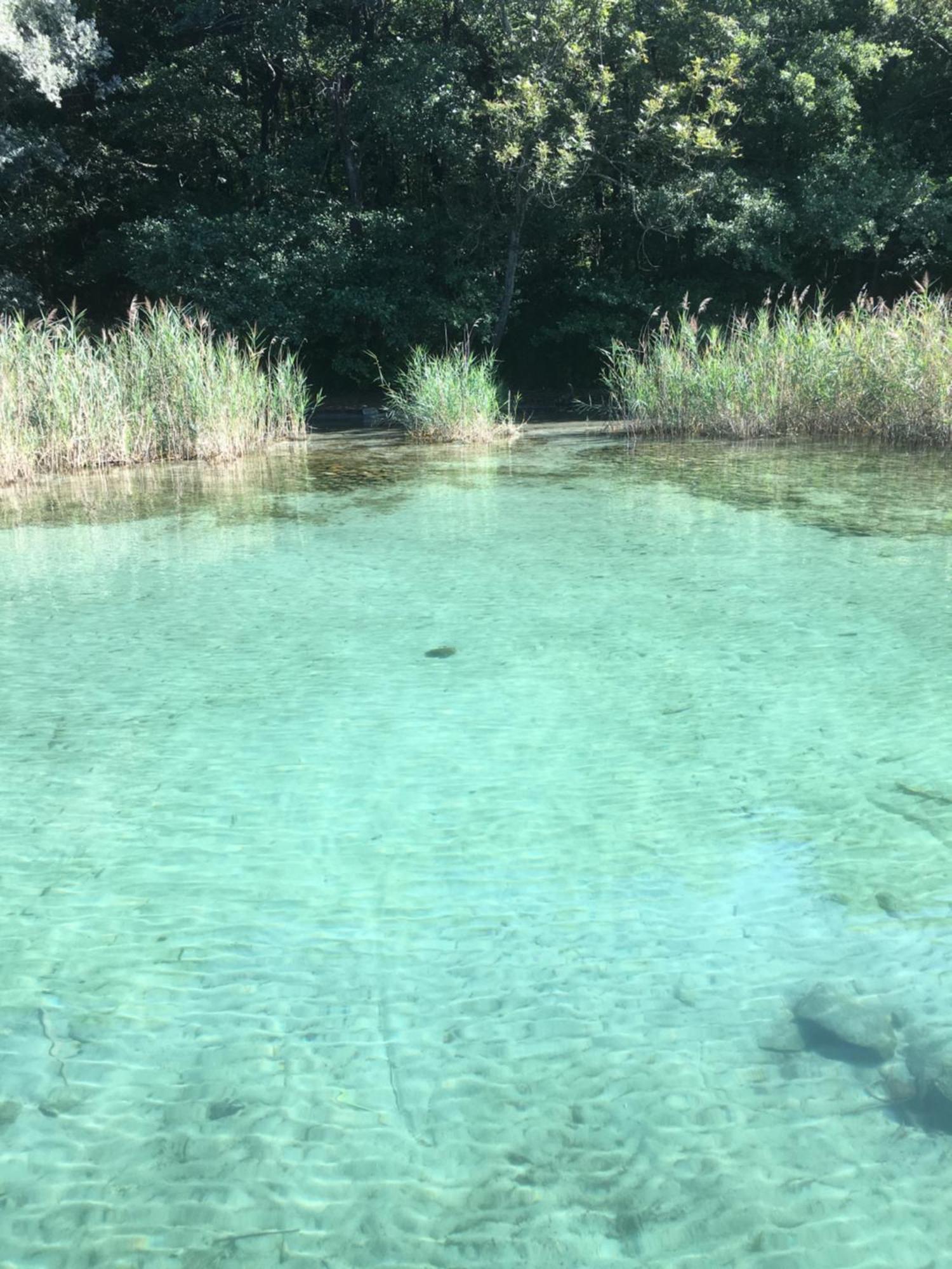 -Ortaflats- Appartamento L'Isola Орта Сан Джулио Екстериор снимка